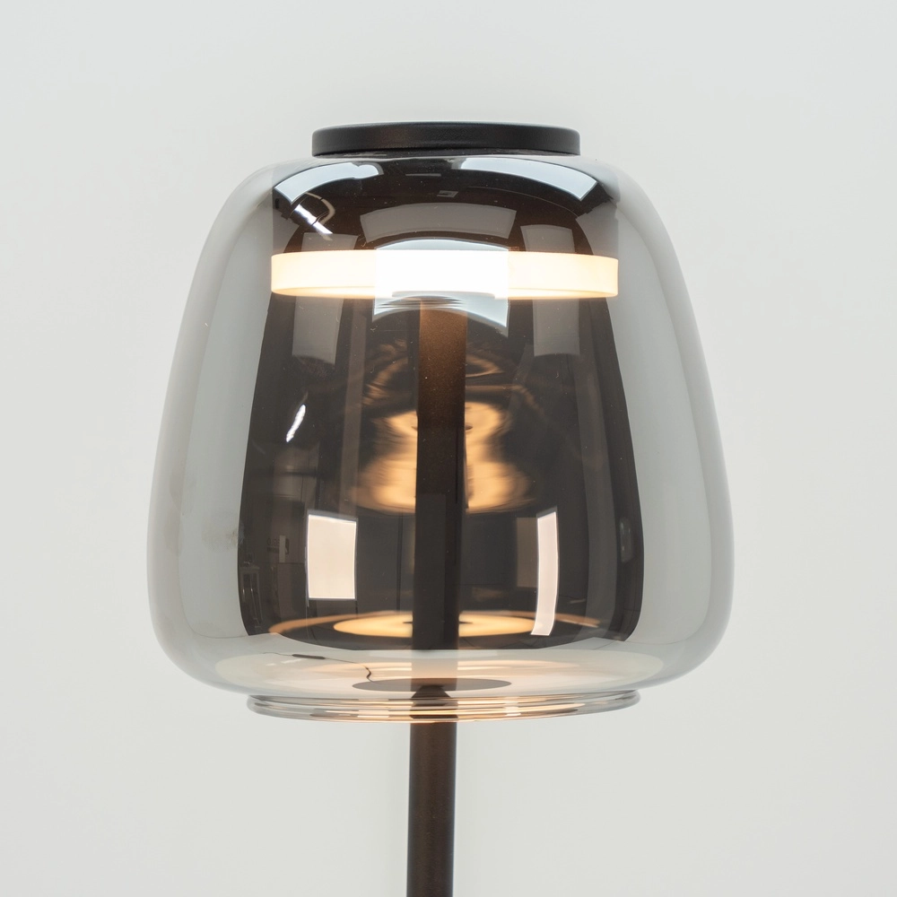 Vloerlamp Alfero-Z smoke glas - app bediening Eglo 9008606312870