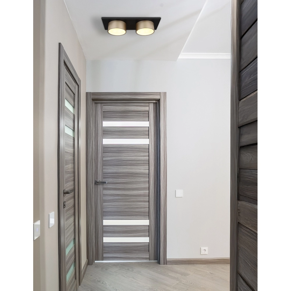 2-lichts plafondlamp Raymond zwart met champagne Globo 9007371522873