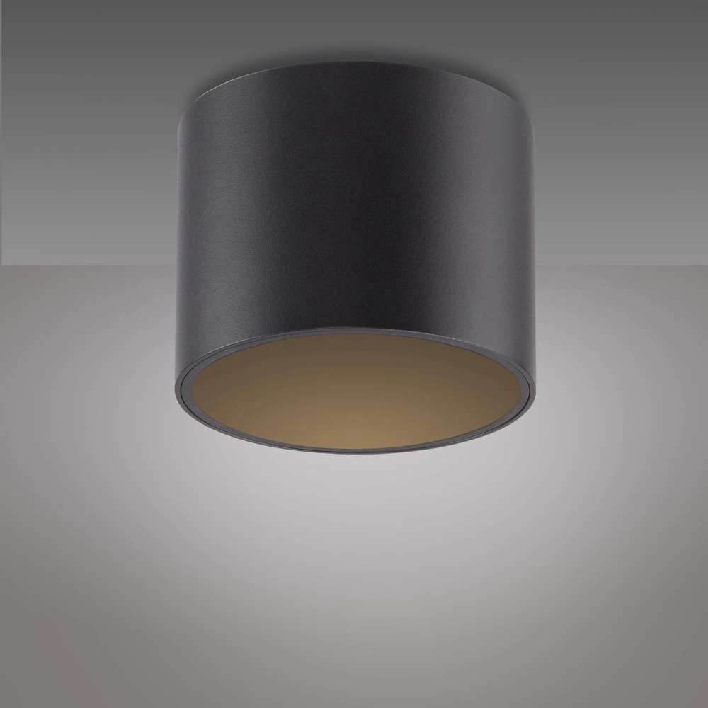 Plafond opbouwspot Pure Point Ø 11cm - black pearl Paul Neuhaus 4012248395646