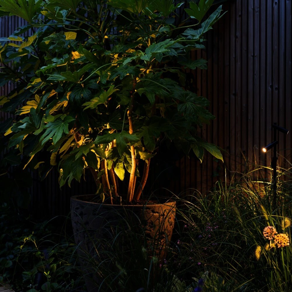 Spot Micro Scope 12 volt In-lite 8717051006579