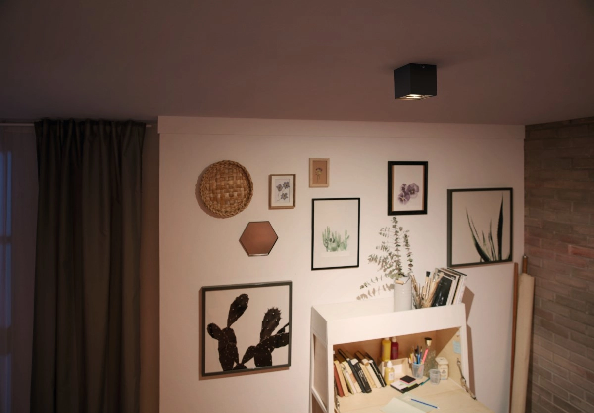 Opbouwspot Box Philips 8718696164518