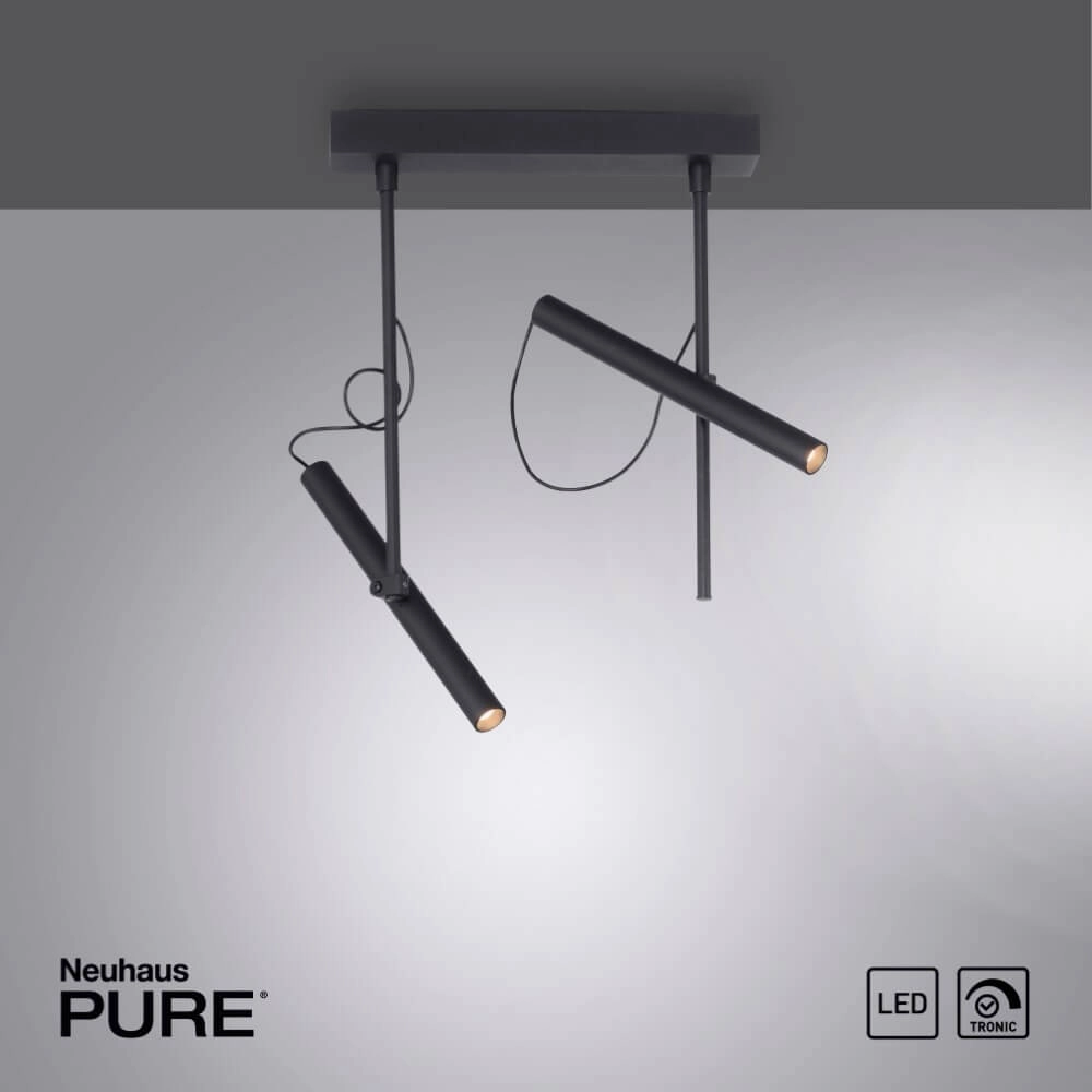 Design plafonlamp Pure Tutua zwart Paul Neuhaus 4012248365533