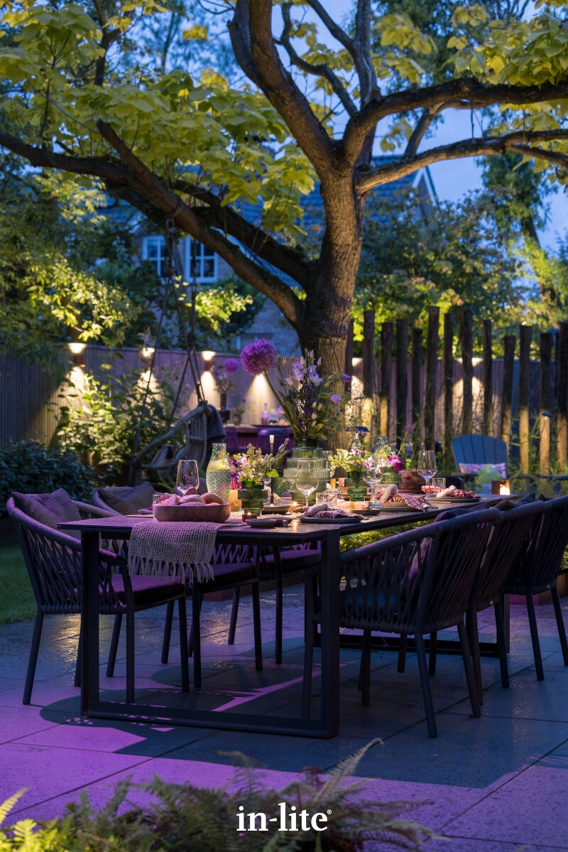 Prikspot Smart Scope Tone 12V In-lite 8717051005589