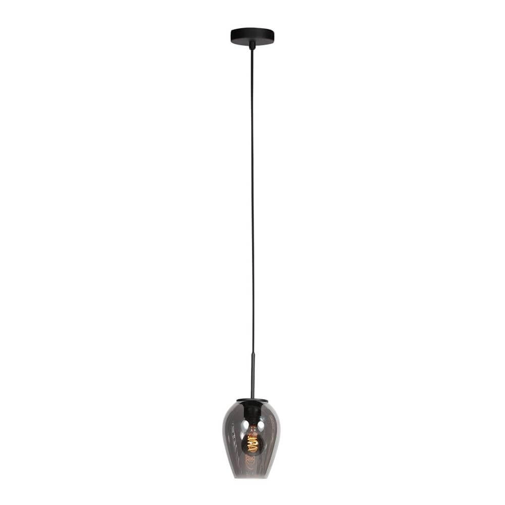 Hanglamp HaloSwap met 1 smoke glas Ø 15cm
