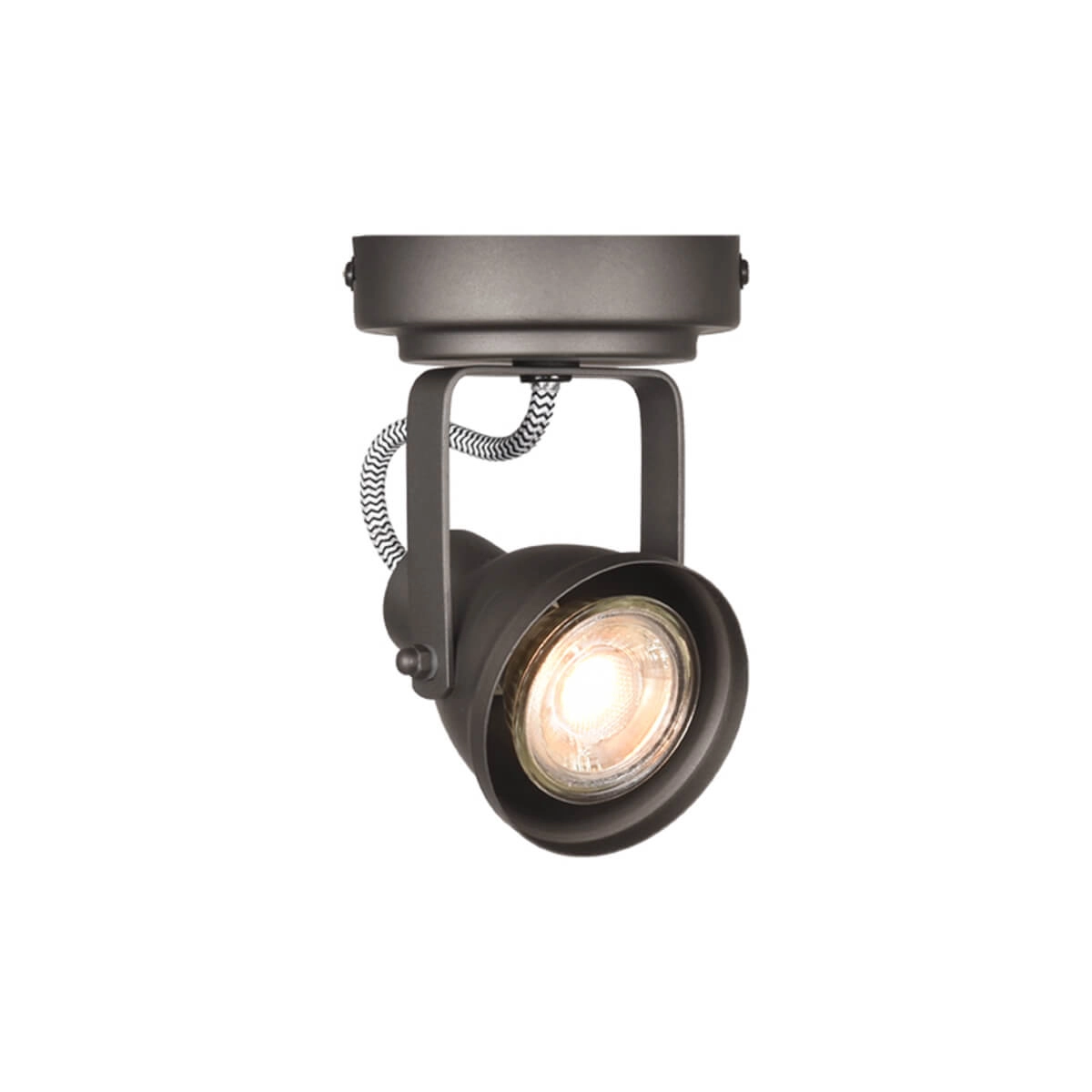 Stalen spot Max led