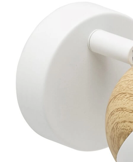 Landelijk wandspotje Scan Brilliant 4004353274381