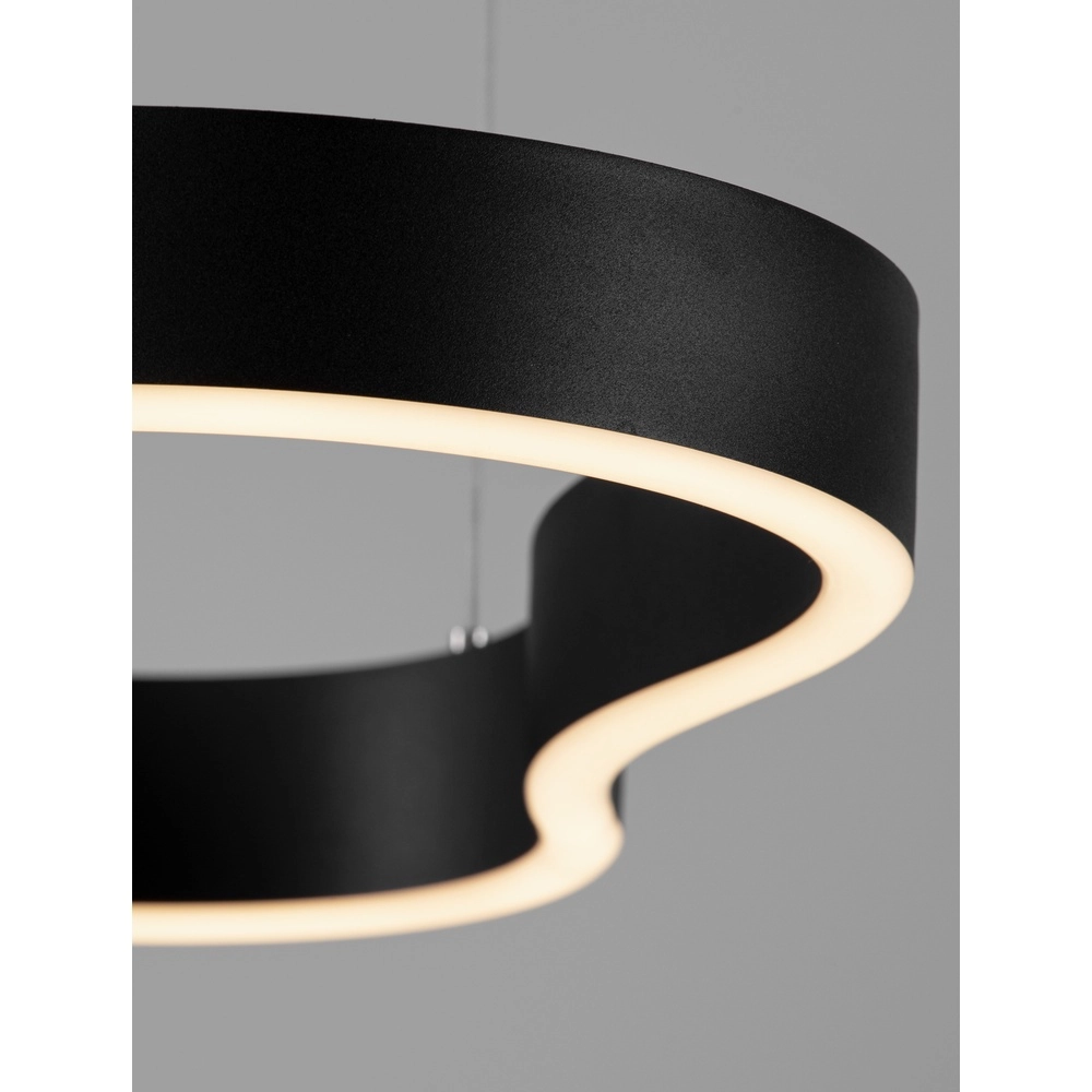 Natural shape pendant lamp Dussa black 90cm Lyora 5212017463050