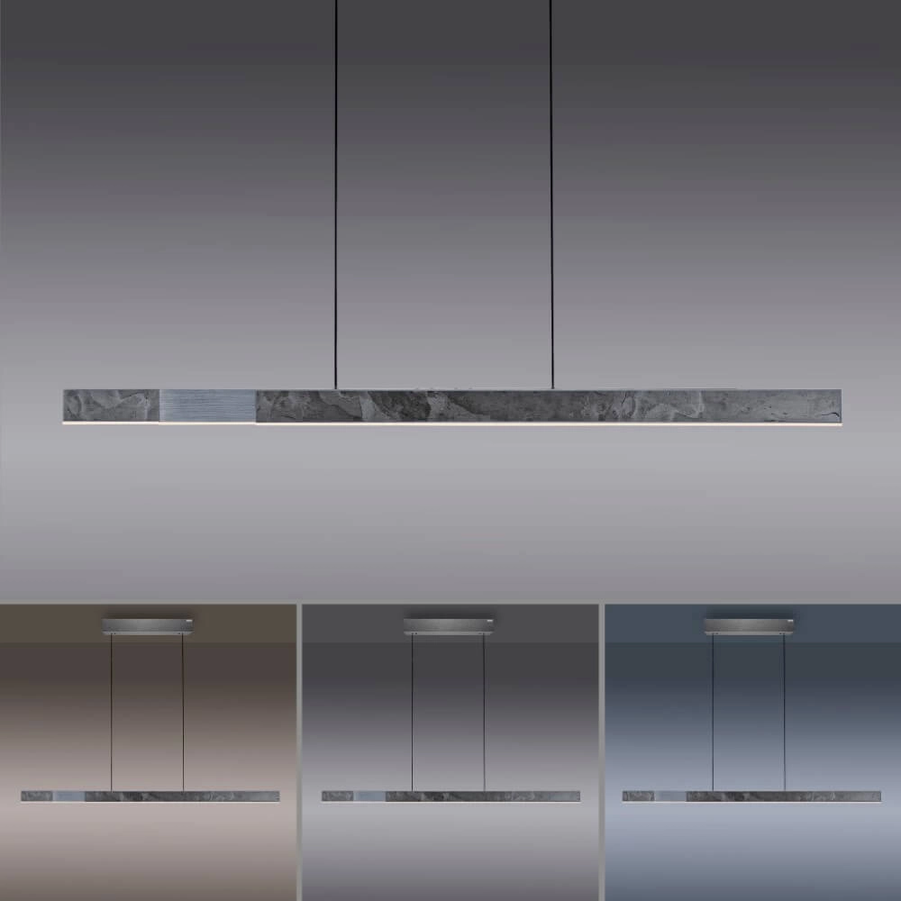 Pure Moto-Rise Paul Neuhaus 4012248391358