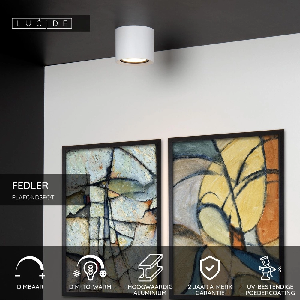 Plafondspot Ø 12cm Fedler GU10 ES111 wit Lucide 5411212092137