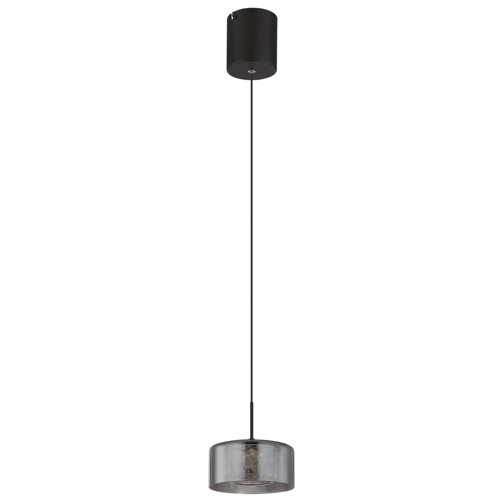 Design hanglamp Fogsy enkel zwart met smoke glas Globo 9007371450381