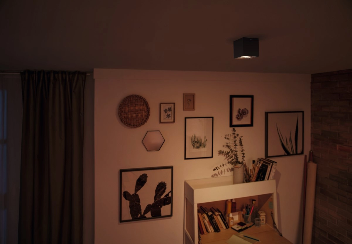 Opbouwspot Box Philips 8718696164518