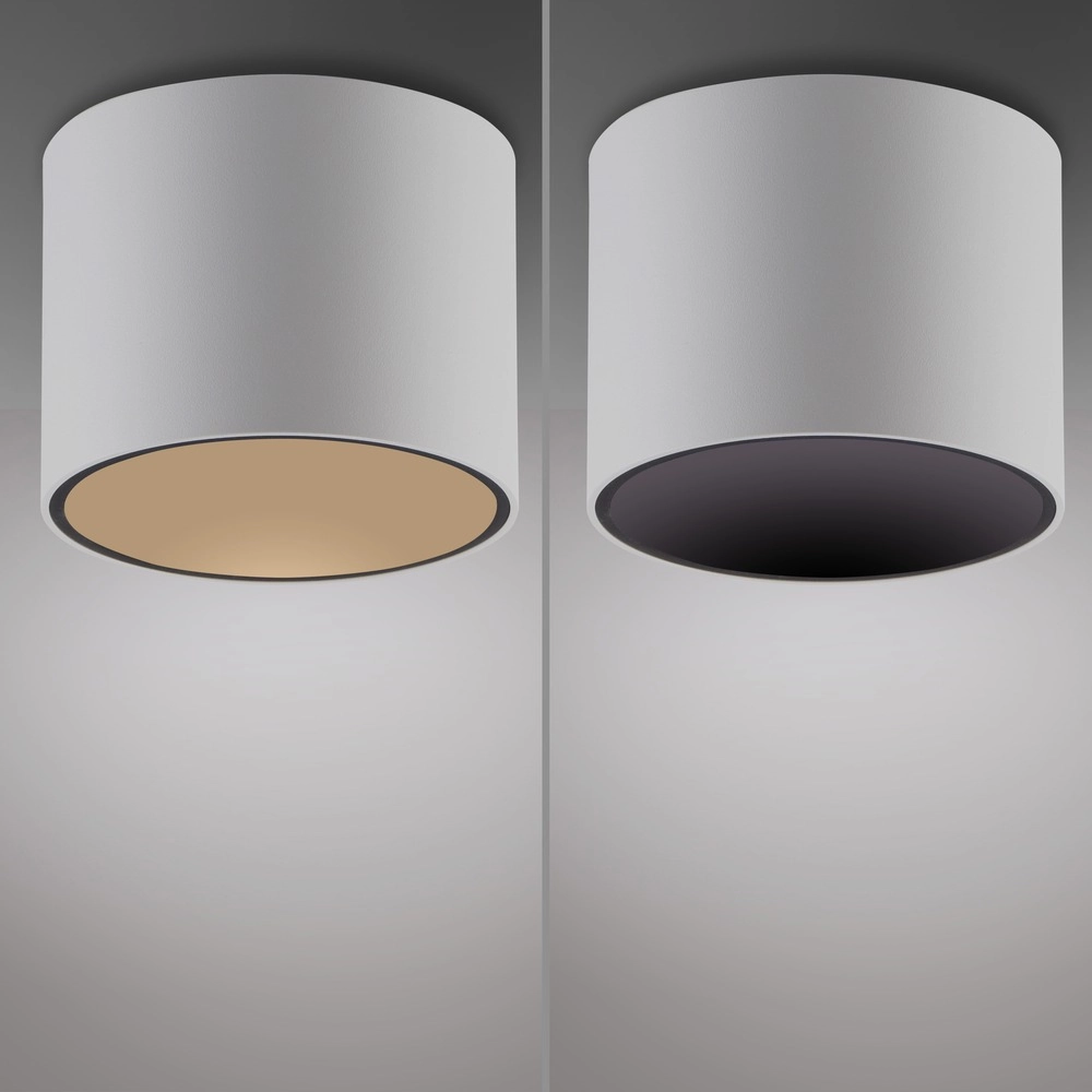 Plafond opbouwspot Pure Point Ø 11cm - wit Paul Neuhaus 4012248395639