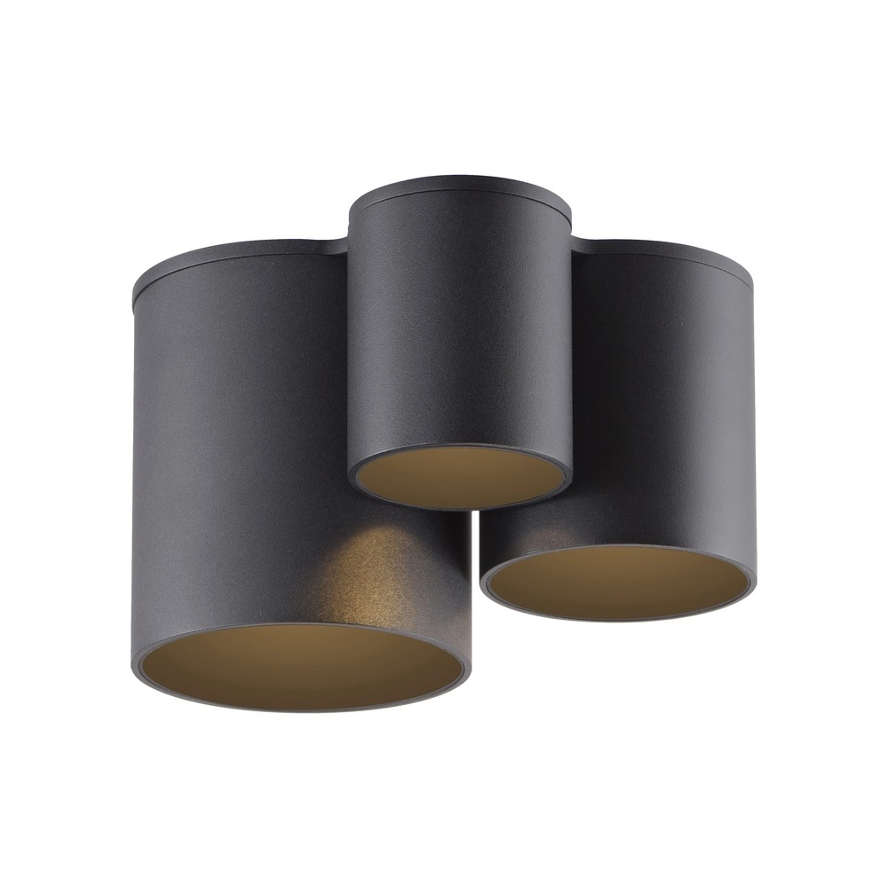 3L plafondlamp Pure Point black pearl Paul Neuhaus 4012248395714