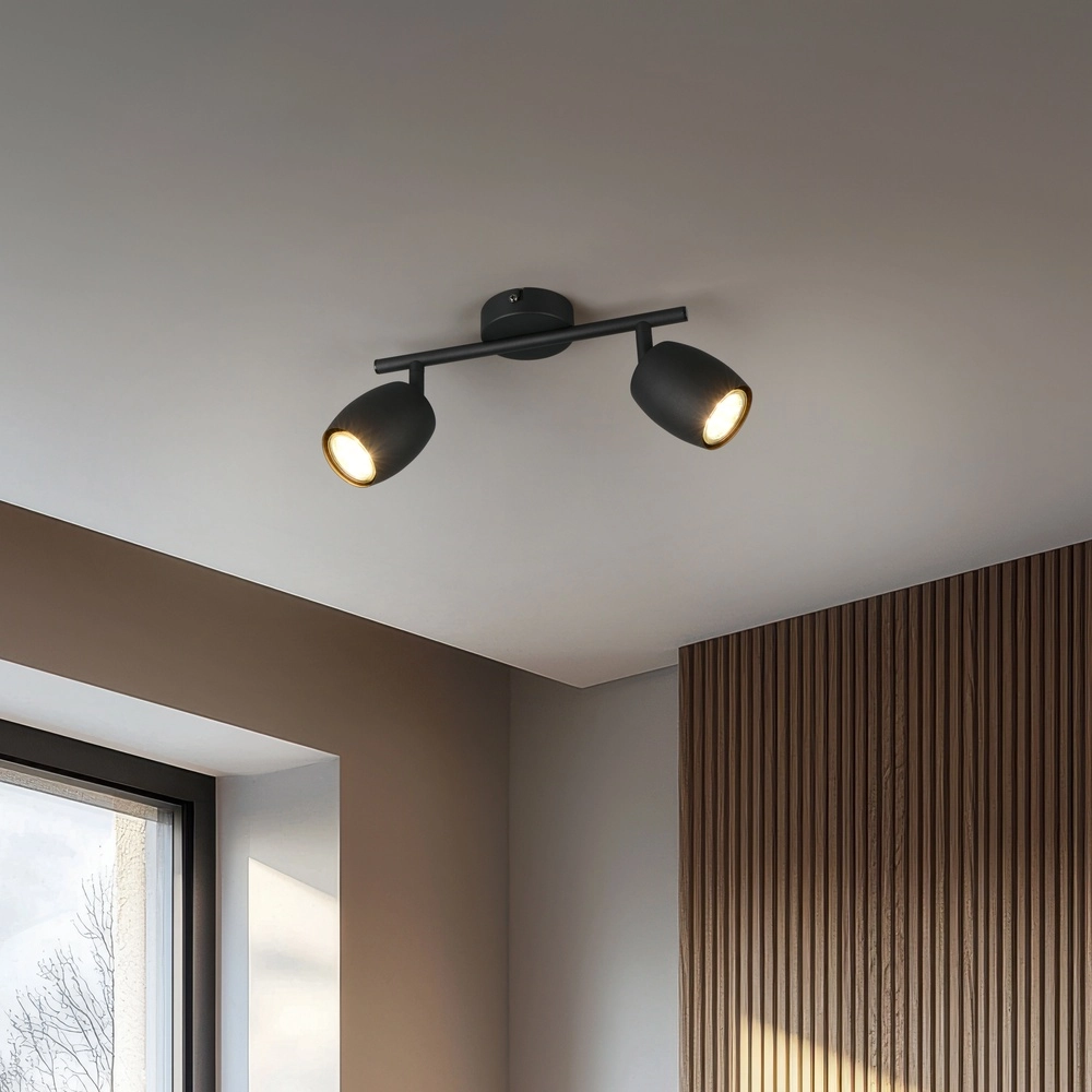 Plafondlamp Nancy 2-lichts zwart Trio 4017807656602
