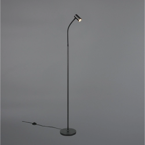 Design vloerlamp Taryn zwart