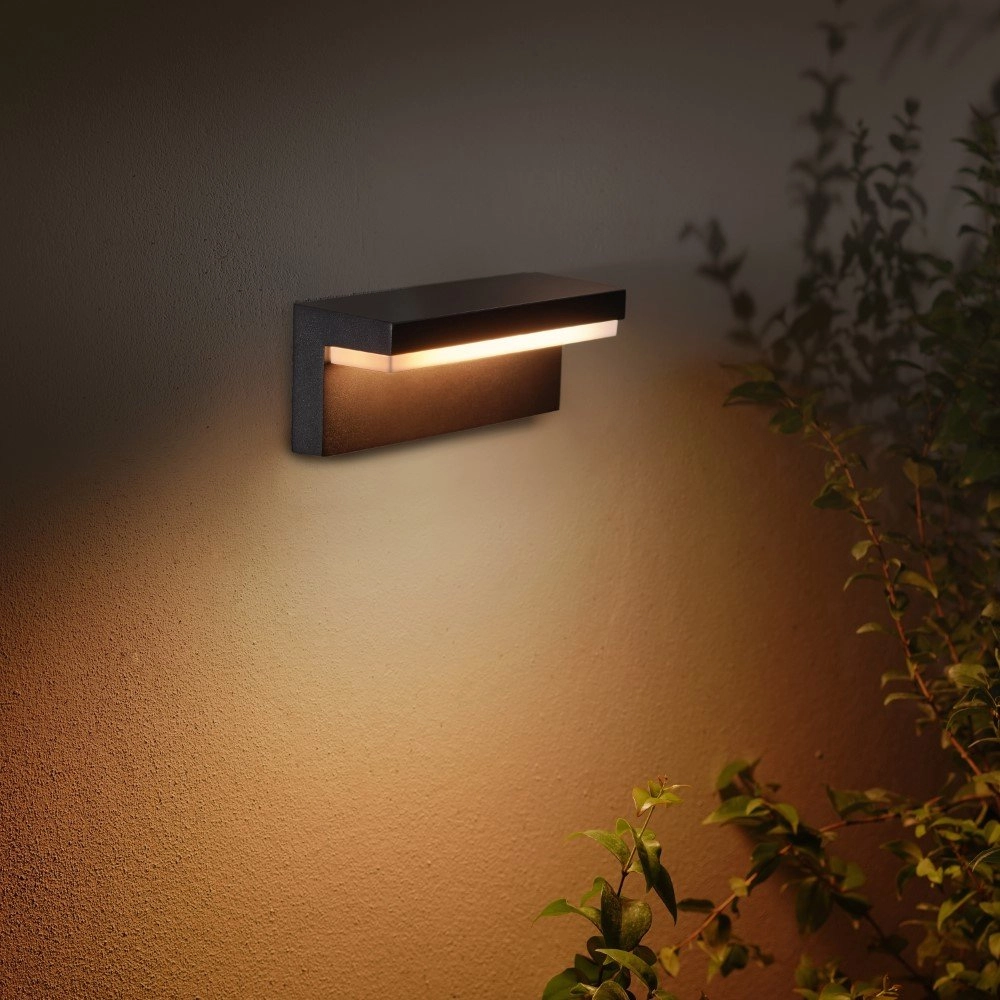 Buitenlamp Downlight Hue Nyro zwart Philips 8718696174302