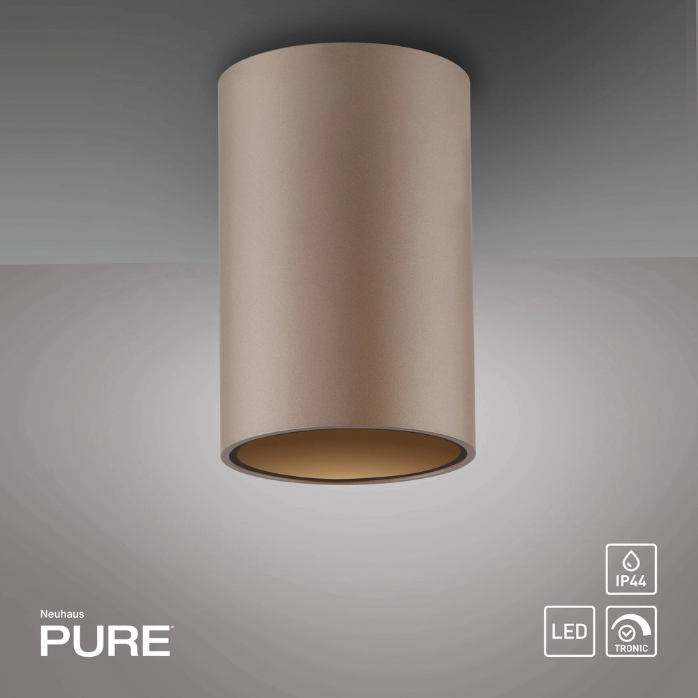 Plafond opbouwspot Pure Point Ø 6cm - bronce Paul Neuhaus 4012248395691