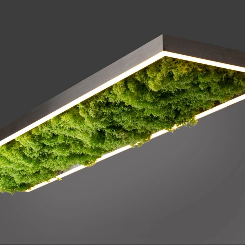 Rechthoekige plafondlamp Green Knut met mos Just Light 4043689994846