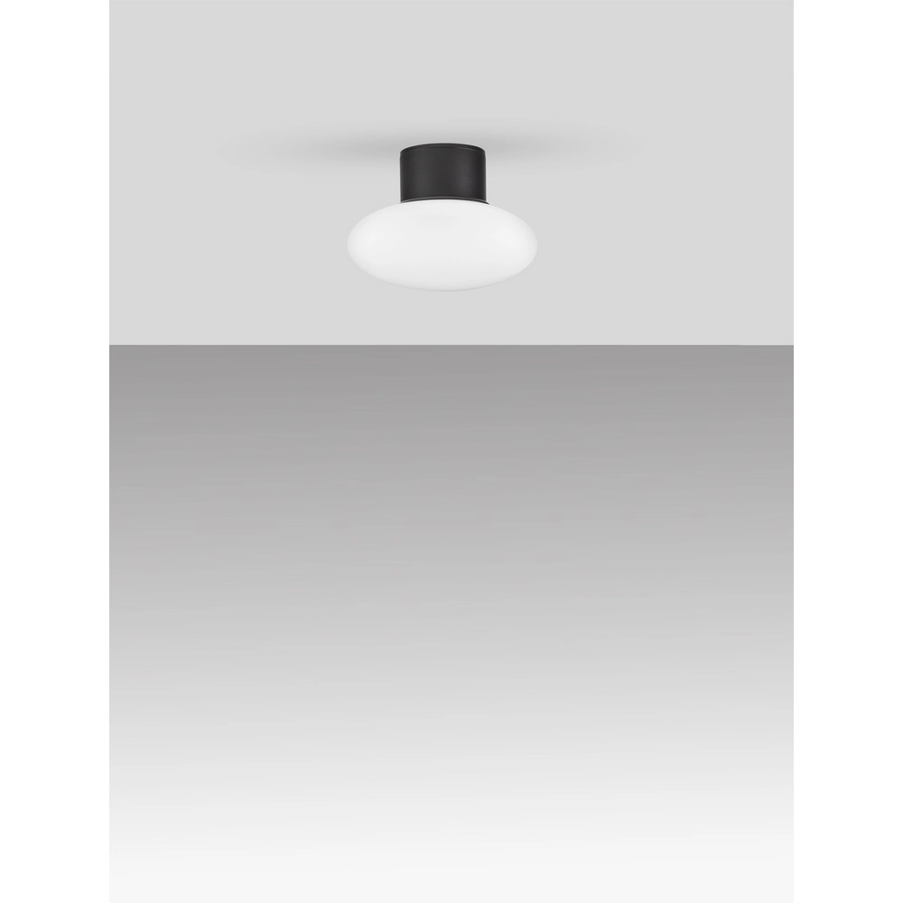 Plafondlamp Ali antraciet met ovaal wit glas Lyora 5212017476456