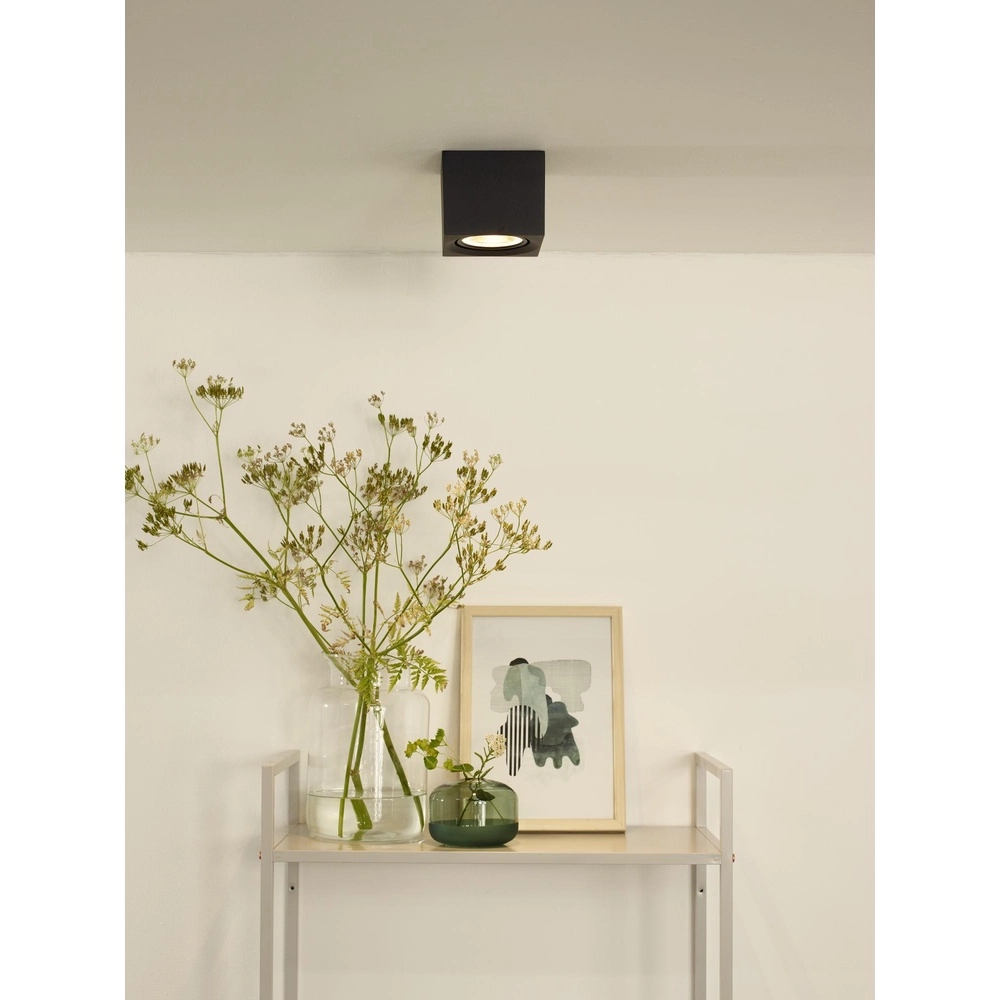 Plafondspot Fedler GU10 ES111 zwart Lucide 5411212092151