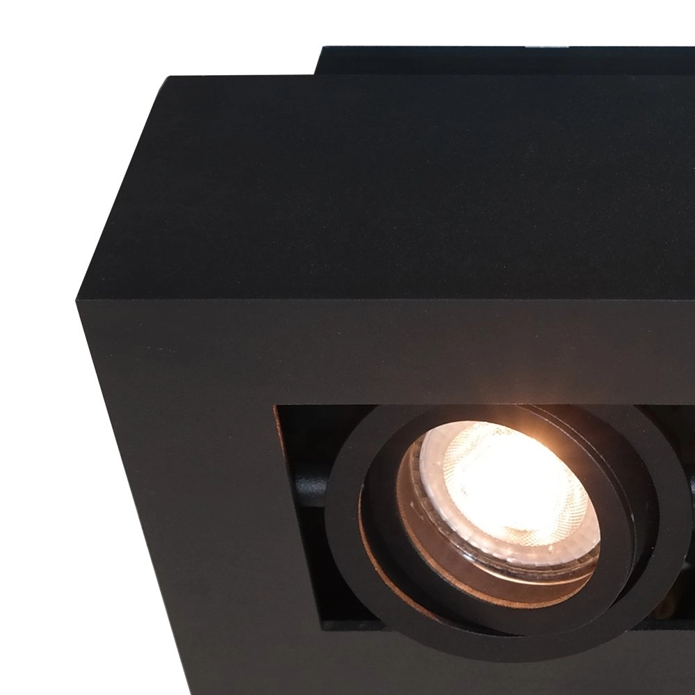 Zwarte plafondspot Bosco Artdelight 8719831736386