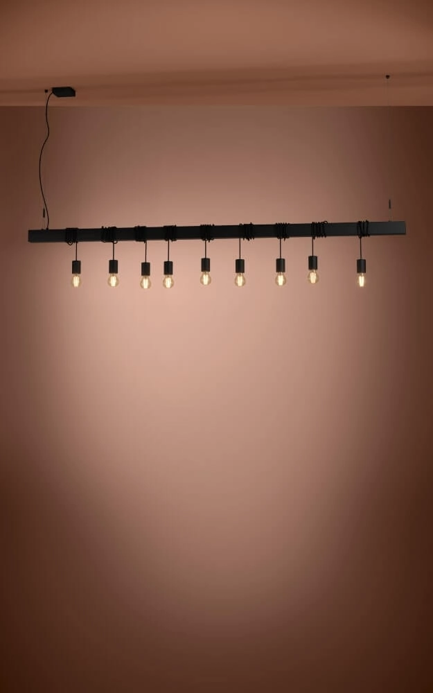 Zwarte hanglamp Townshend-B 5-lichts Stars of Light 9002759399375