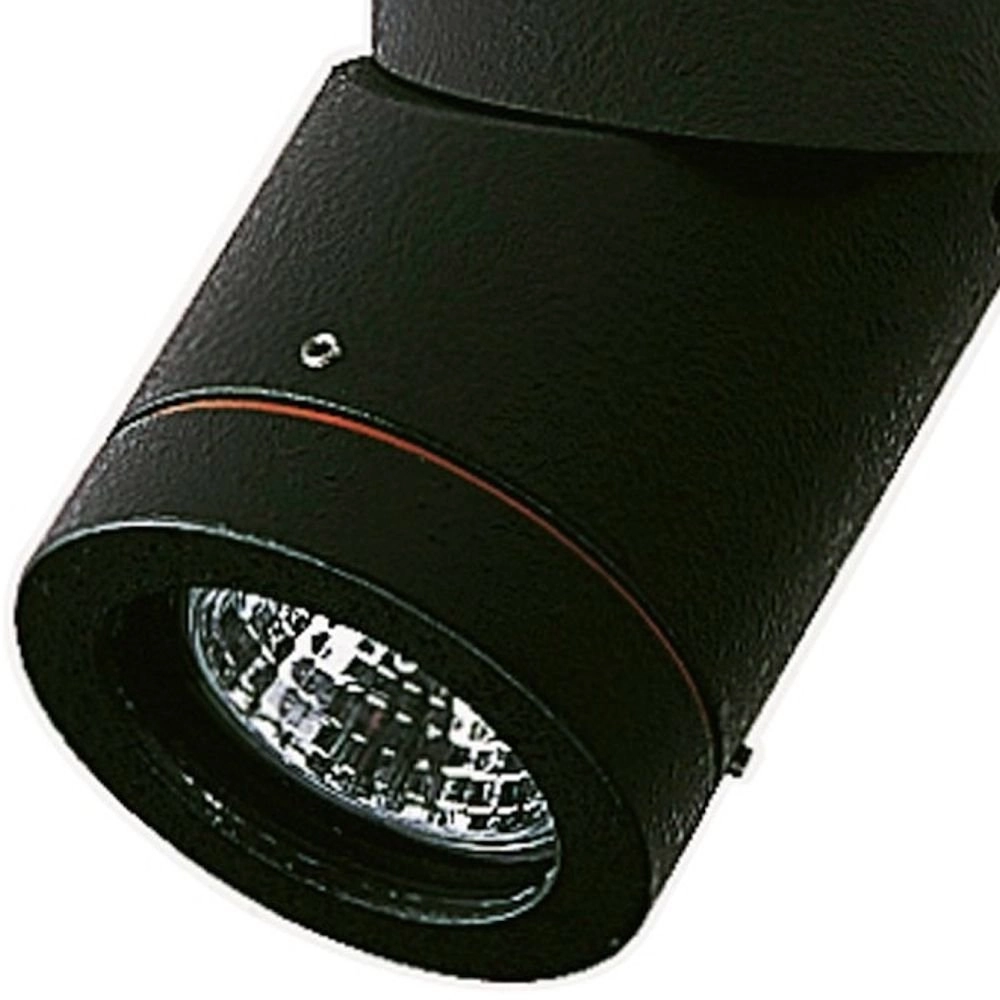 Opbouwspots buiten plafond Orientable zwart Albert 4007235621389