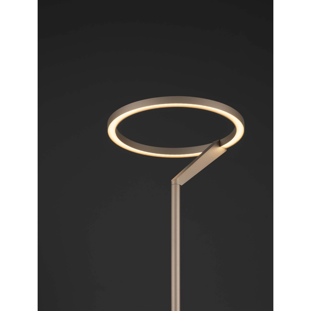 Design tafellamp Tilia mokka bruin Lyora 5212017461971