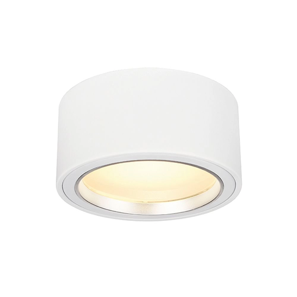 Plafondspot Downlight led wit