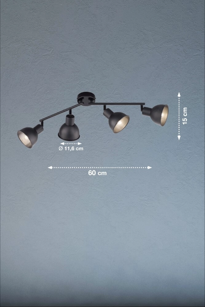 Verstelbare plafondspot Speedy mat zwart Fischer & Honsel 4003694212489