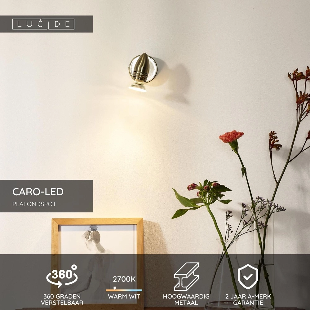 Plafondspot Caro-Led mat chroom Lucide 5411212133366