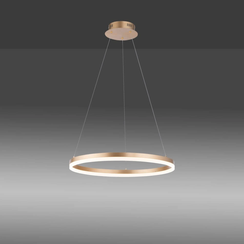 Moderne hanglamp Titus Ø 60cm antiek messing Paul Neuhaus 4012248362853