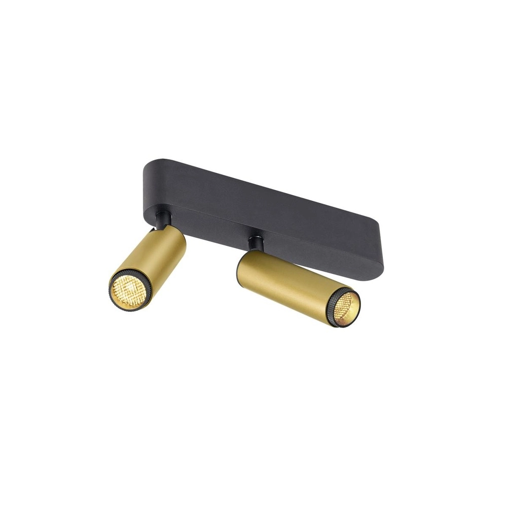 Opbouwspot Grip! S 2-lichts goud 3000K