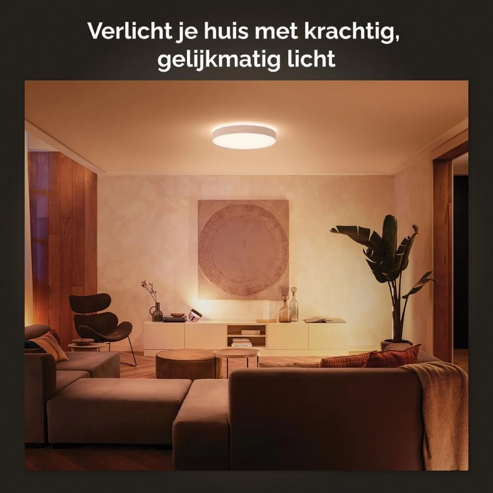 Plafondlamp Hue Enrave L - White Ambiance Ø 42,5cm wit Philips 8718696176450