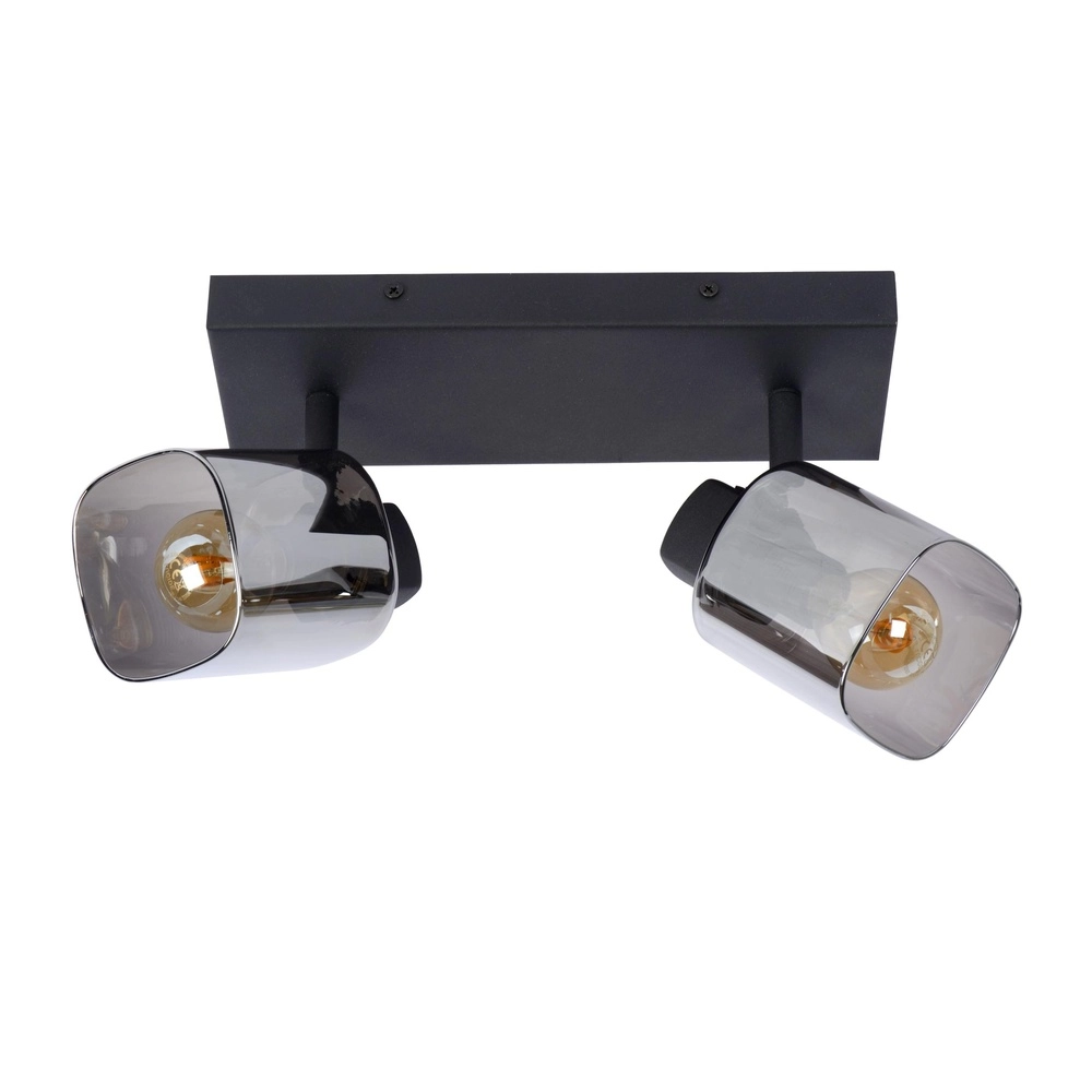 Plafondlamp Alion 2-lichts zwart met smoke glas