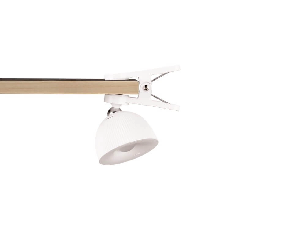 Multifuncitoneel lampje Maxima wit Trio 4017807601954