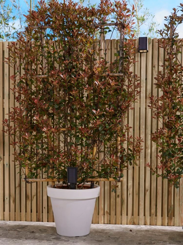 Led solar lamp Rosario met sensor Luxform 8719099230299