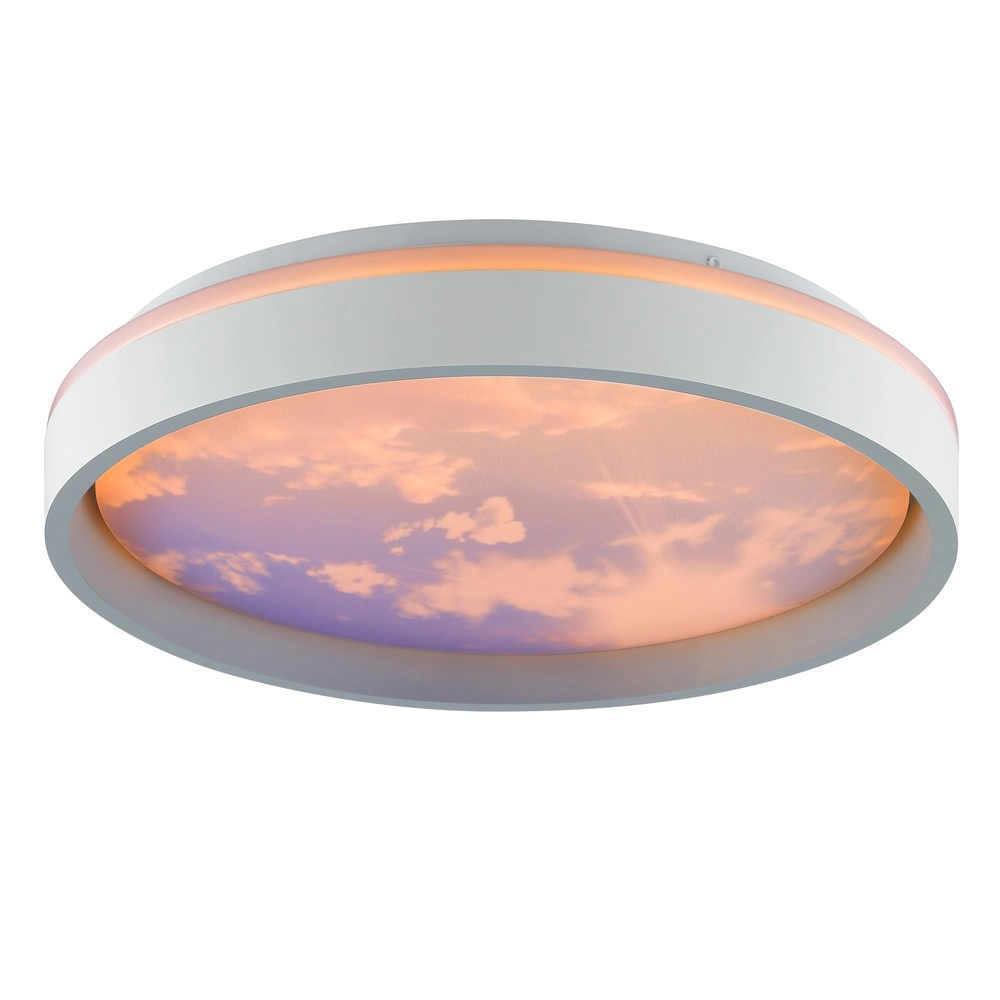 Plafonniere Sky-Dream wit met grijs Ø 39cm