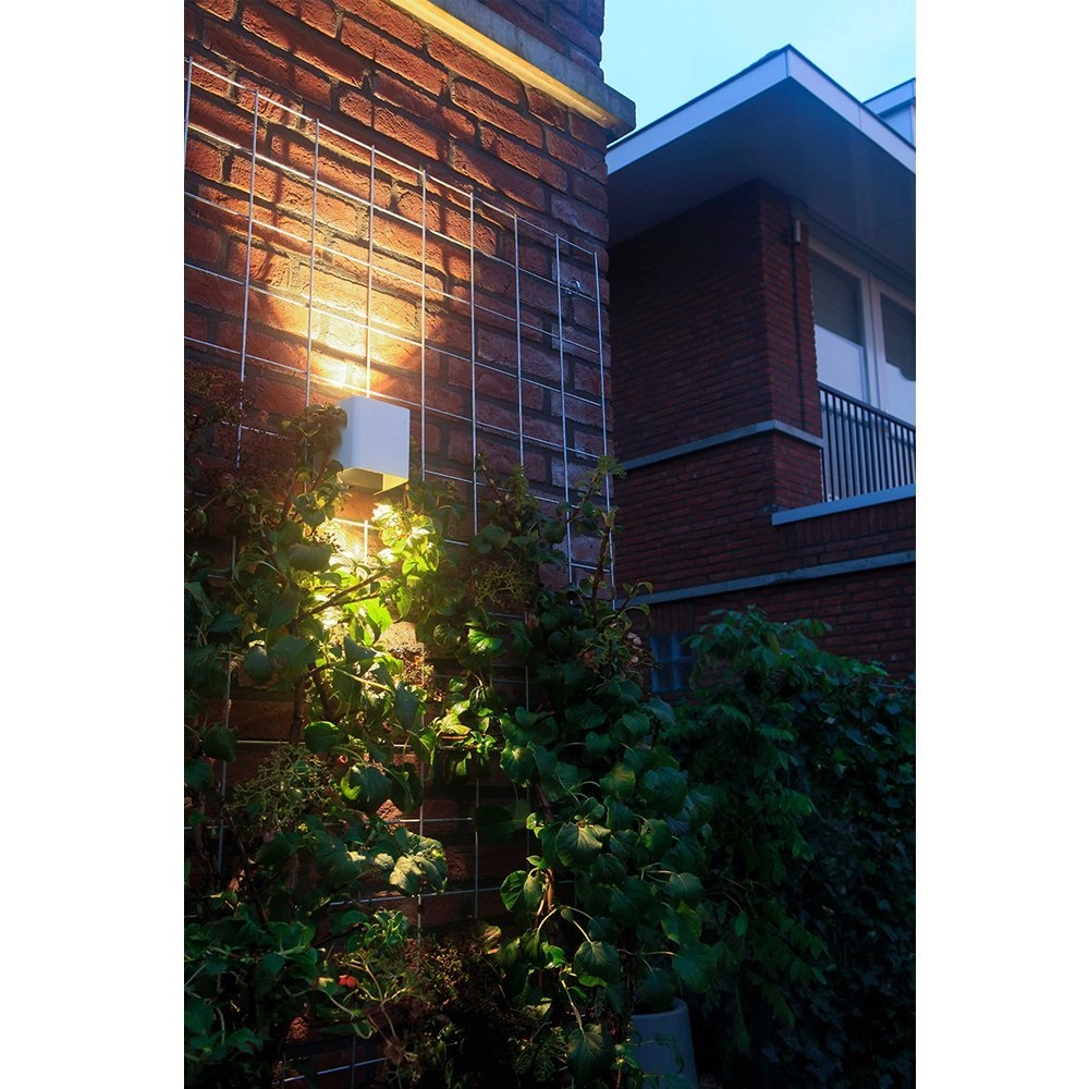 Wandspot Ace Up-Down White 12 volt LED In-lite 8717051003783