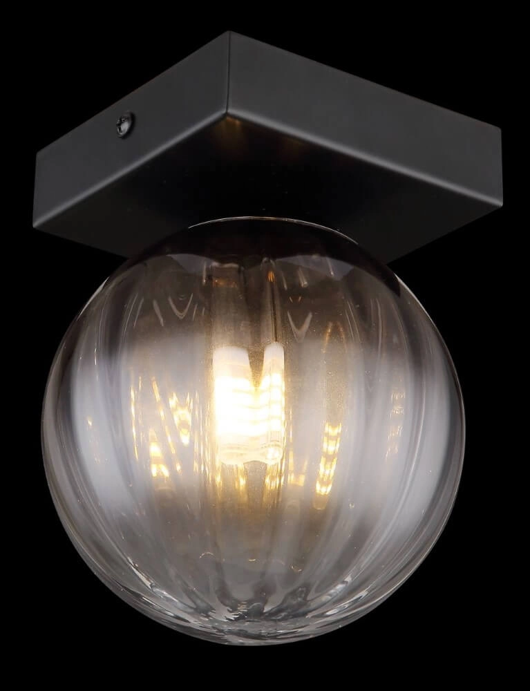 Plafondlamp Dallerta zwart met smoke glas Globo 9007371446575