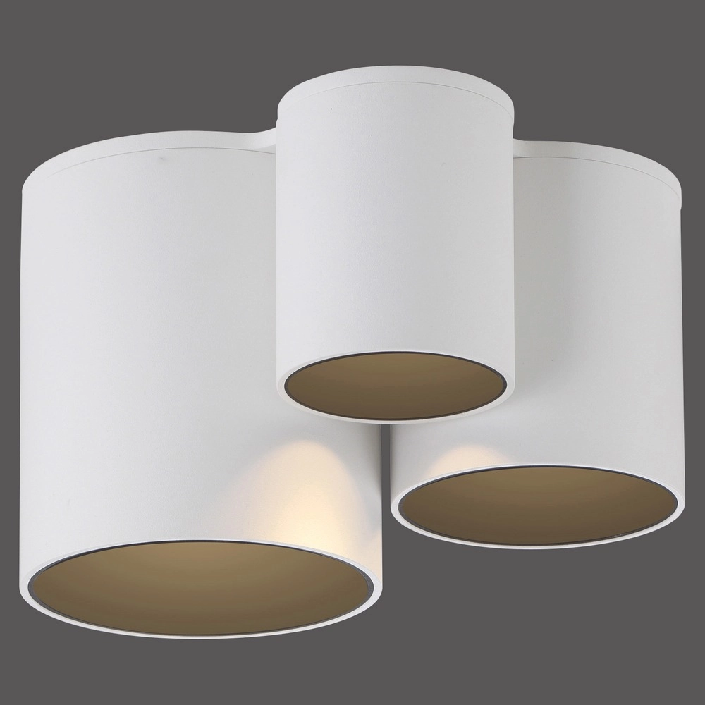 3L plafondlamp Pure Point wit