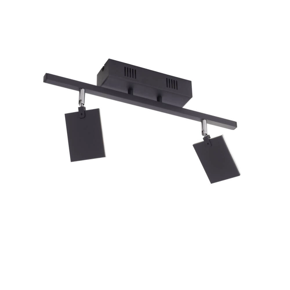 Plafondlamp Pure Mira 2-lichts zwart