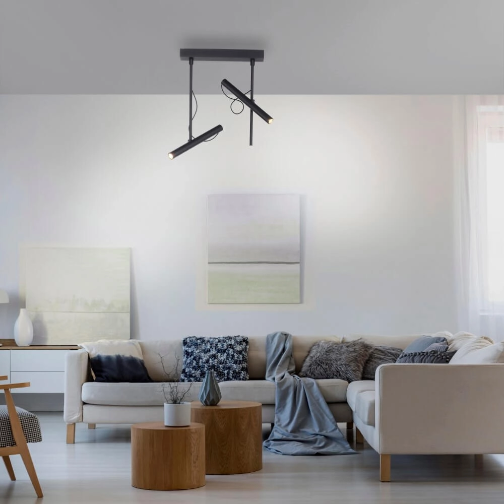 Design plafonlamp Pure Tutua zwart Paul Neuhaus 4012248365533