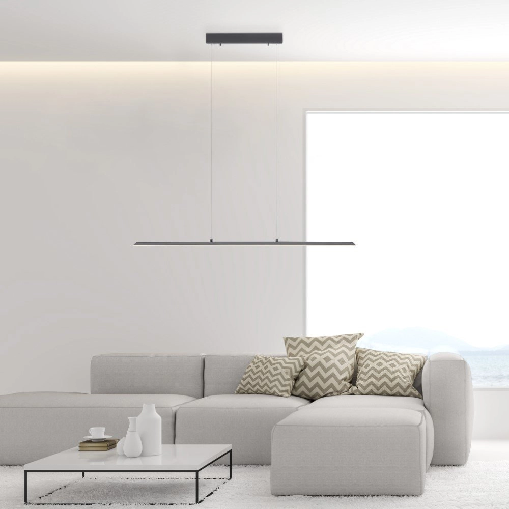 Design hanglamp Pure Lite 100cm antraciet Paul Neuhaus 4012248344873