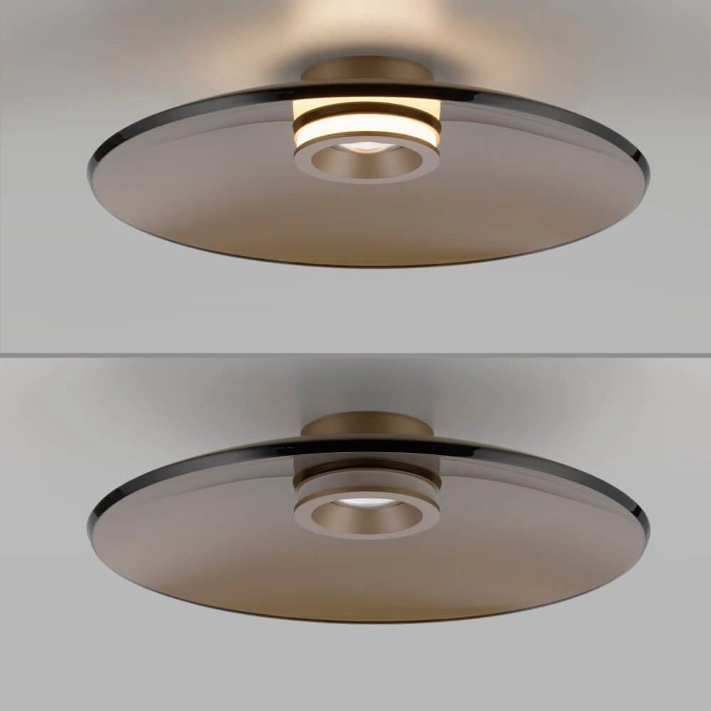 Design plafondlamp Pure Moon brons Ø 50cm Paul Neuhaus 4012248382752