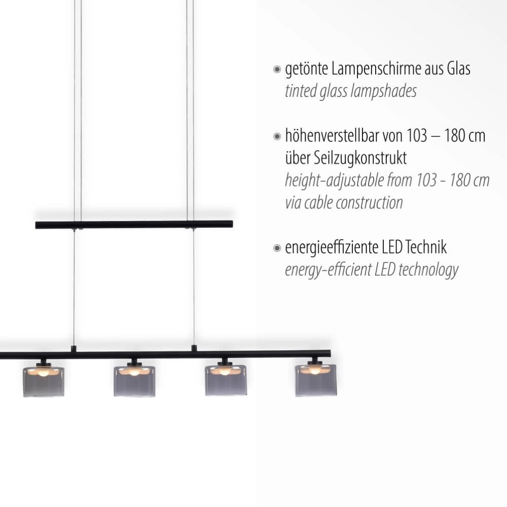5-lichts hanglamp Hydra zwart Paul Neuhaus 4012248364970