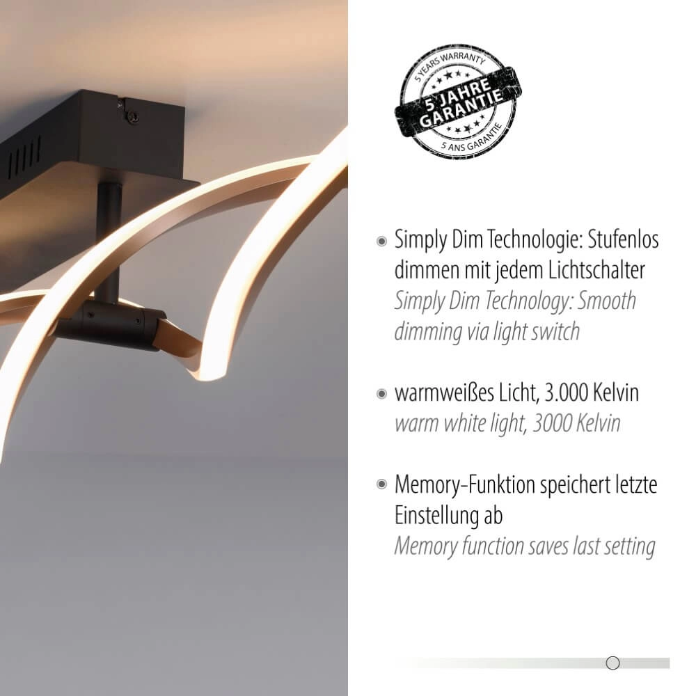 Design plafondlamp Polina 106cm Paul Neuhaus 4012248371725