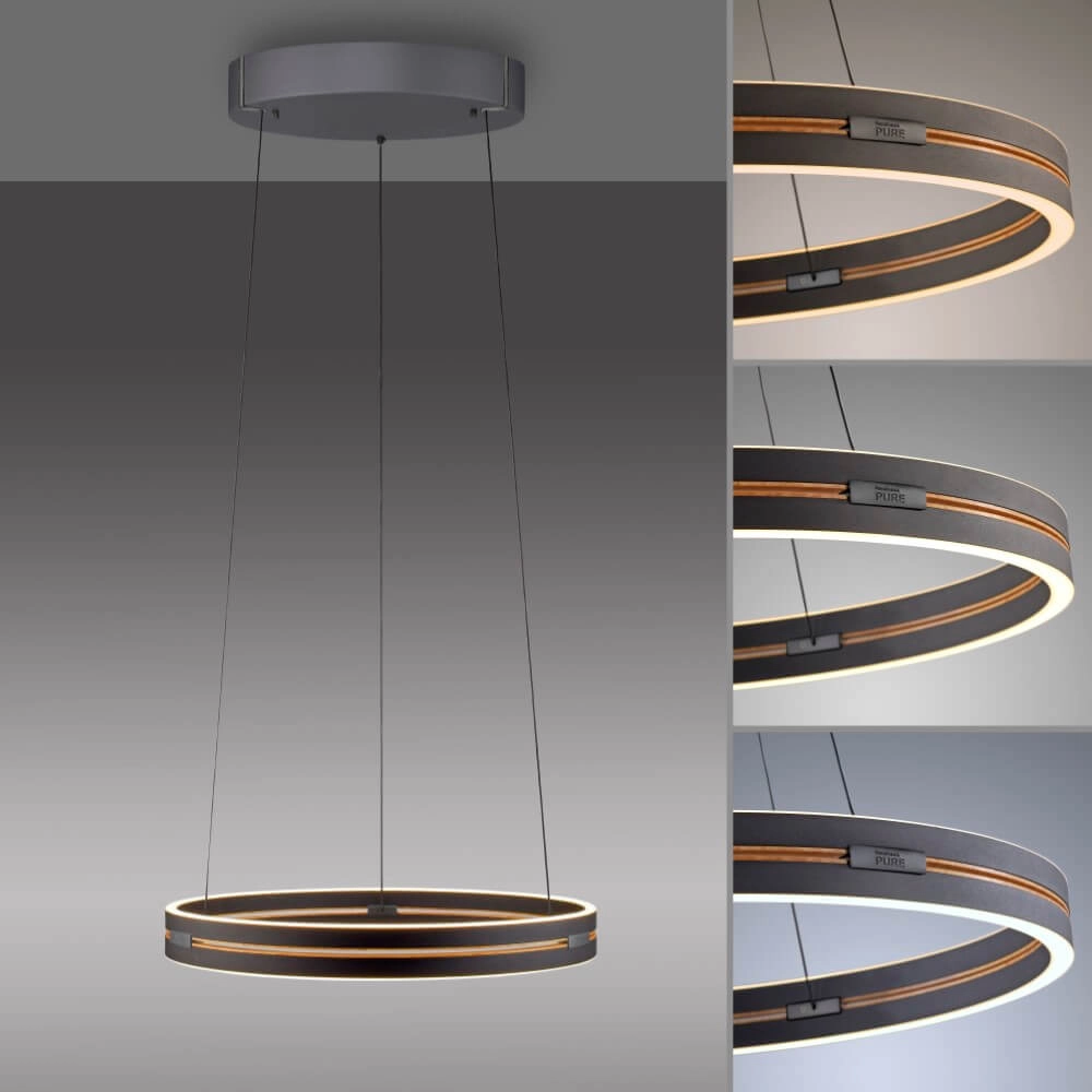 Strakke hanglamp Pure E-Loop zwart Paul Neuhaus 4012248386224