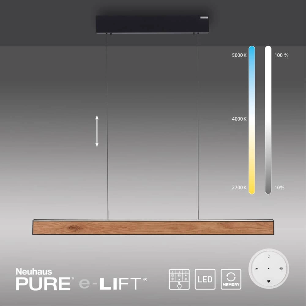Design hanglamp Pure E-Motion hout Paul Neuhaus 4012248372937