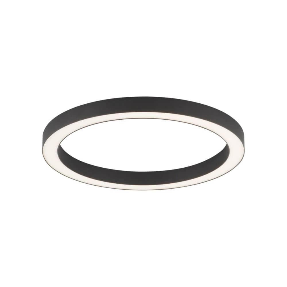 Ronde vloerlamp Pure Lines Round Ø 50cm antraciet Paul Neuhaus 4012248375853